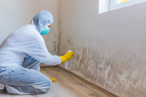Mold Remediation specialist working in Mahwah